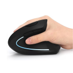 Ergonomic 2.4G Wireless Optical Mouse for PC